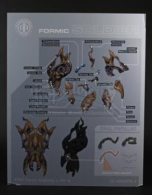 ENDER'S GAME - Formic Soldier Face Diagram