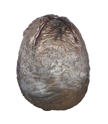 Lot #19 - ALIENS (1986) - Xenomorph Egg